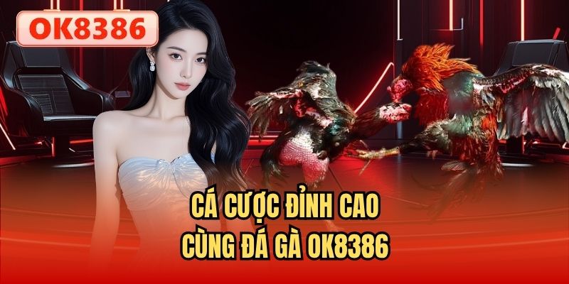 Cá cược đỉnh cao cùng Đá gà OK8386