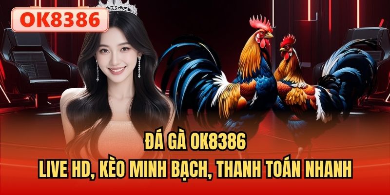 Đá Gà OK8386 - Live HD, Kèo Minh Bạch, Thanh Toán Nhanh