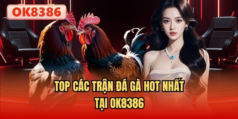 Top các trận đá gà hot nhất tại OK8386